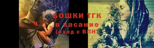 прущие грибы Елабуга