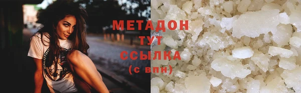прущие грибы Елабуга