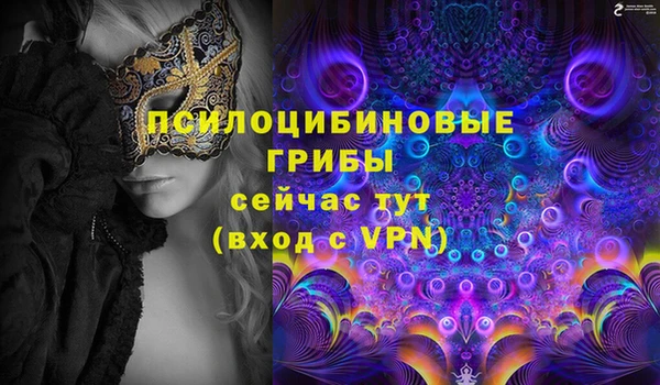 прущие грибы Елабуга