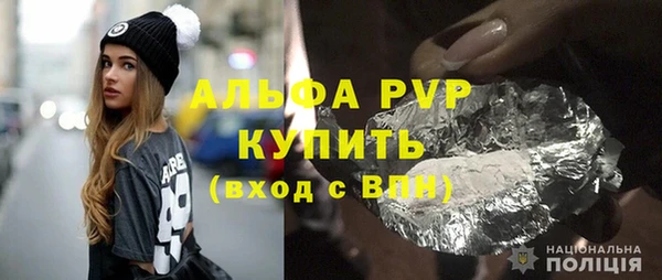 прущие грибы Елабуга