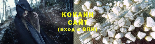 прущие грибы Елабуга